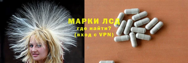 прущие грибы Киреевск