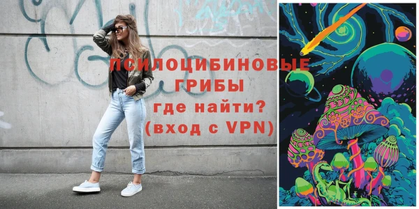 ПСИЛОЦИБИНОВЫЕ ГРИБЫ Киренск