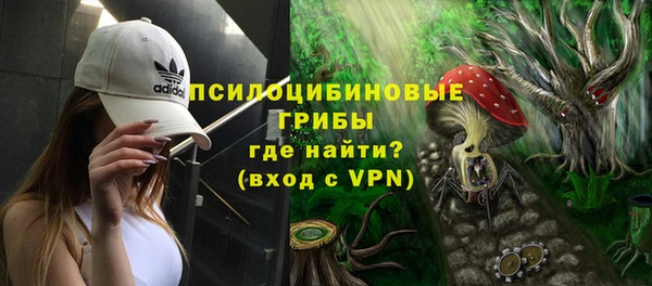 ПСИЛОЦИБИНОВЫЕ ГРИБЫ Киренск