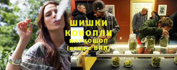 соль ск Козловка
