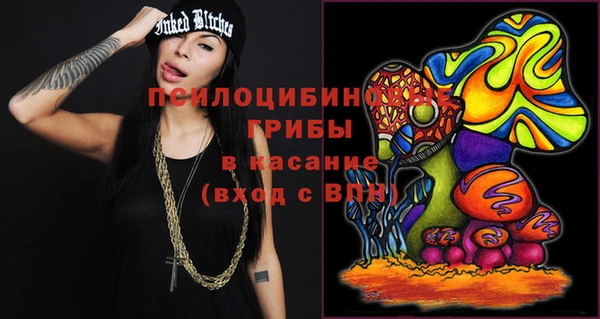 дмт Кодинск