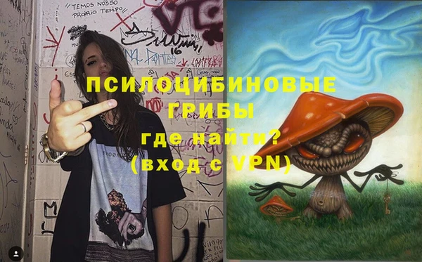 ПСИЛОЦИБИНОВЫЕ ГРИБЫ Киренск