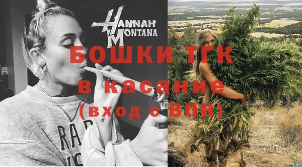 прущие грибы Киреевск