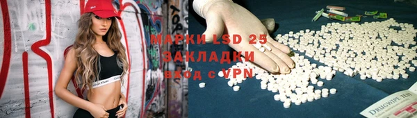 прущие грибы Киреевск