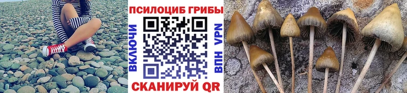 Галлюциногенные грибы MAGIC MUSHROOMS  Кировград 