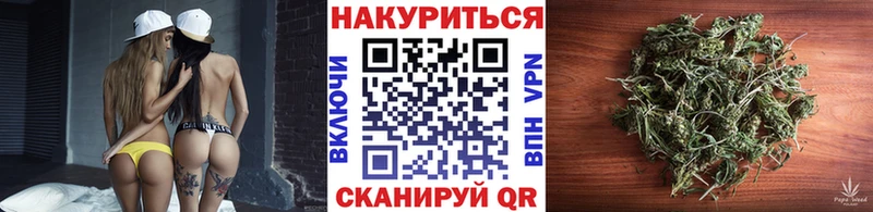 Каннабис SATIVA & INDICA  что такое   Кировград 